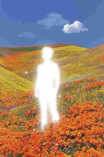 Newton's cradle Poster