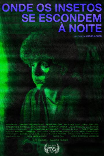 Onde os Insetos se Escondem à Noite Poster