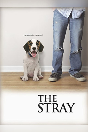 The Stray Poster