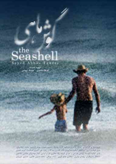 The Seashell Poster