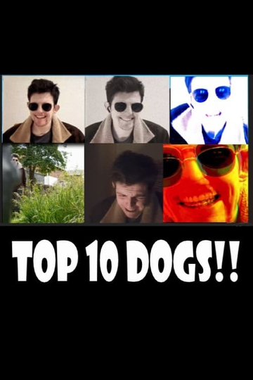 Top 10 Dogs!! Poster