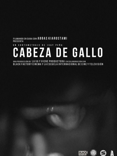 Cabeza de gallo