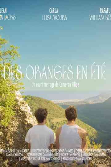 Des Oranges en Été Poster