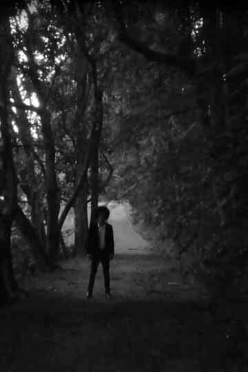 Naissius: Meu Bem Poster