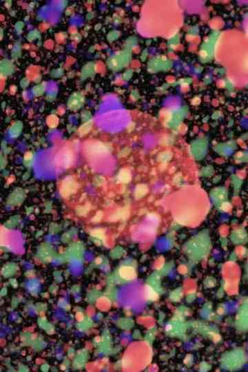 Astres et Désastres Poster