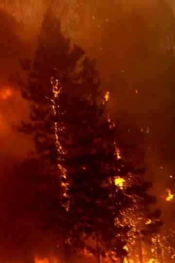 Body Electric Poster