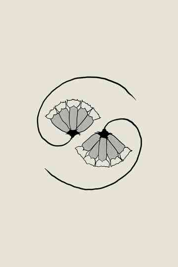 At State's End! Poster