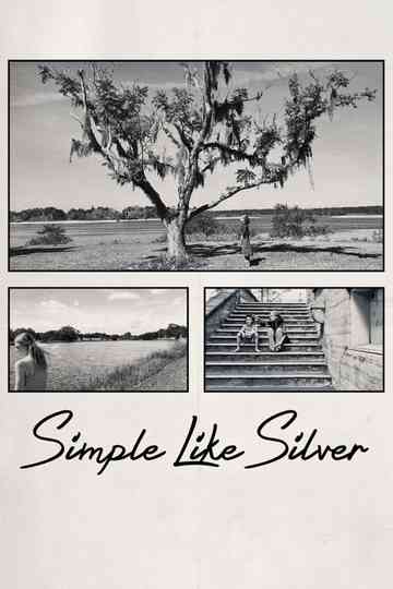 Simple Like Silver Poster