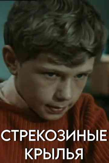 Dragonfly Wings Poster