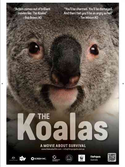 The Koalas Poster