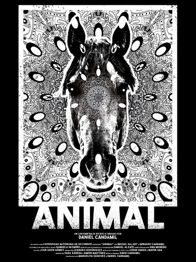 Animal Poster