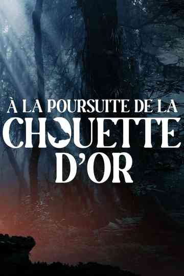 A la poursuite de la chouette d'or Poster