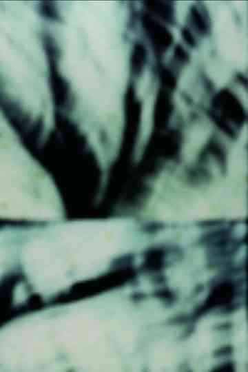 Étude pour arbre seul Poster