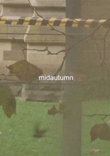 midautumn Poster