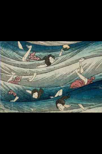 A Escura Prata da Casa Poster