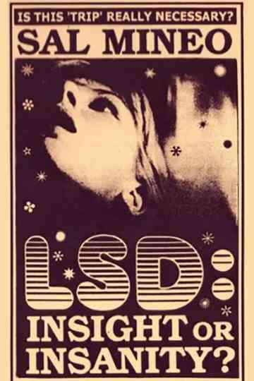 LSD Insight or Insanity Poster