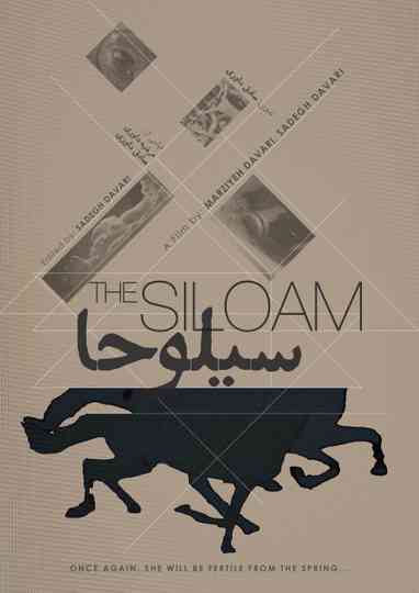 The Siloam Poster