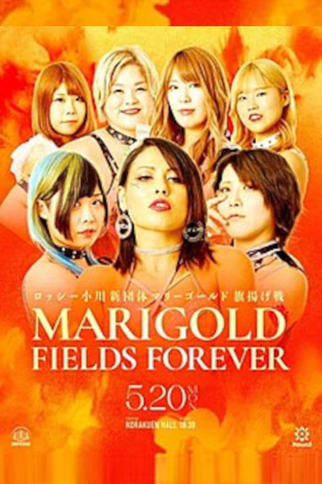 Marigold Fields Forever Poster