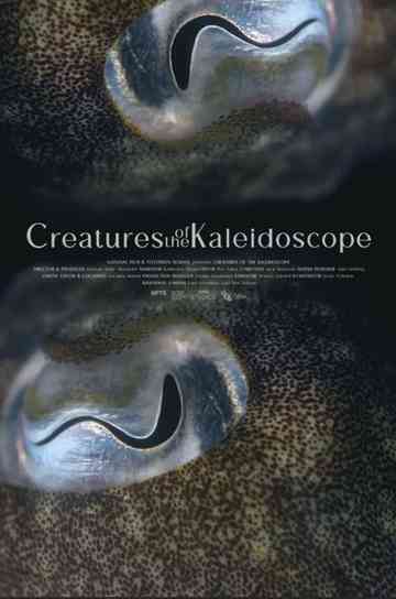 Creatures of the Kaleidoscope Poster