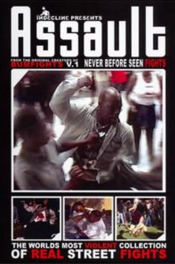 Assault: The World’s Most Violent Collection of Real Street Fights Poster