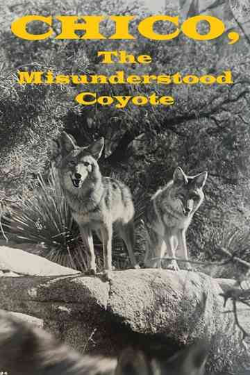 Chico, the Misunderstood Coyote Poster