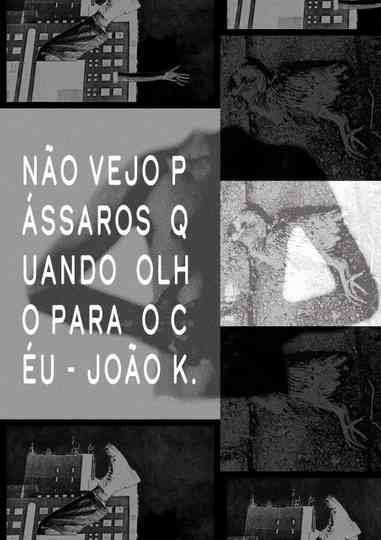 Não vejo pássaros quando olho para o céu Poster