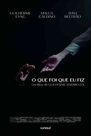 What did I do Poster