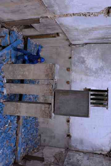 Blue Territory Poster