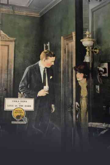 Love in the Dark Poster