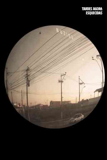 Now Forgotten Afternoons Poster