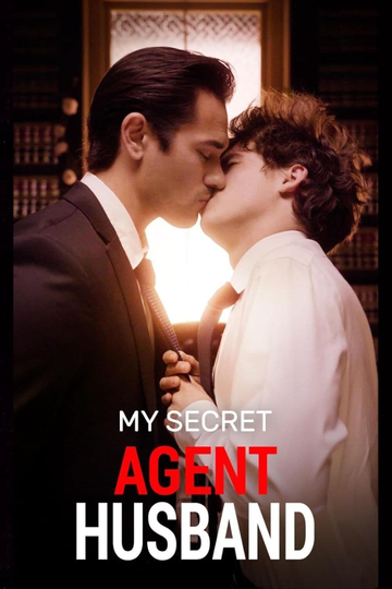 My Secret Agent Husband Poster