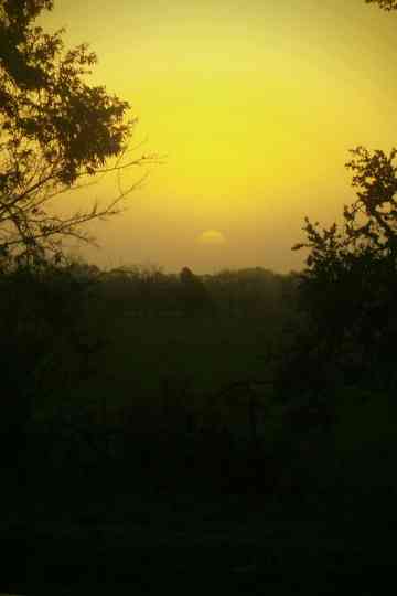 our little corner of the world Poster