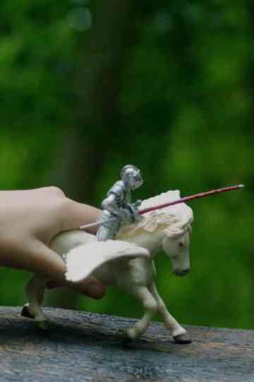 Adults in the Room Poster