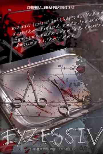 EXZESSIV Poster