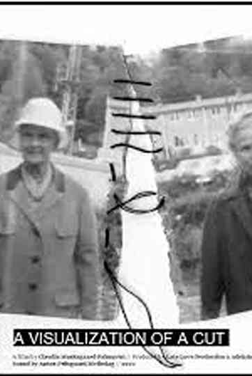 A Visualization of A Cut Poster