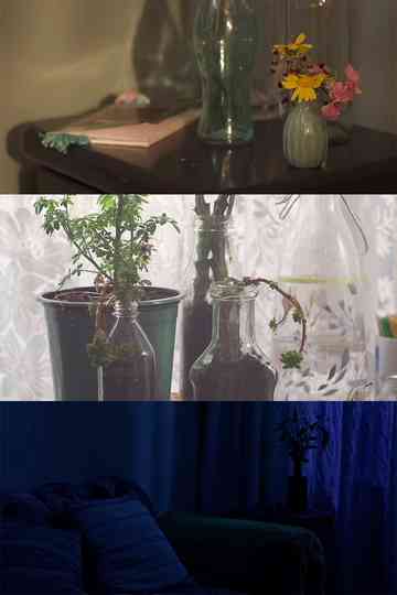 The Sleeping Beauty Poster