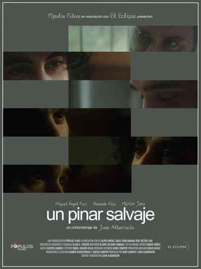 Un pinar salvaje Poster