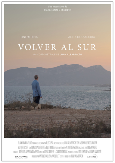 Volver al sur Poster