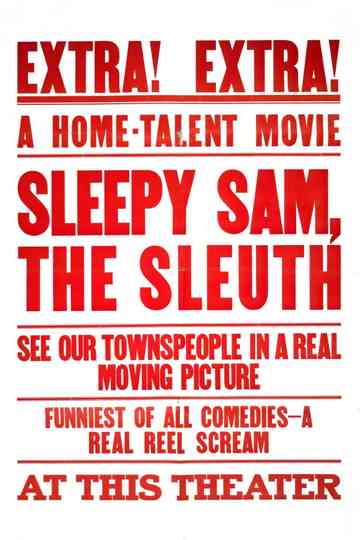 Sleepy Sam, the Sleuth Poster