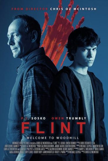 Flint Poster