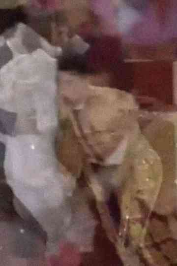 Haiku Flamenco Haiku Poster