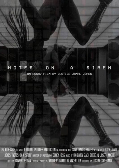 Notes On A Siren Poster