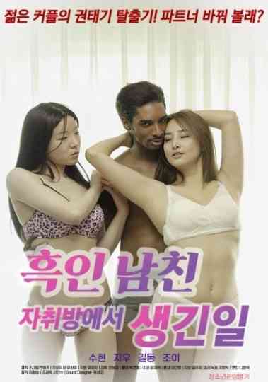 What Happened in My Black Boyfriend's Room Poster