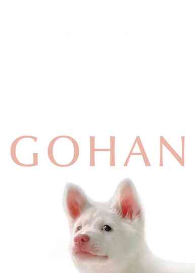 Gohan Poster