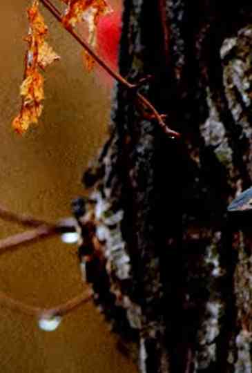 Creation Through That Which Was Created Poster