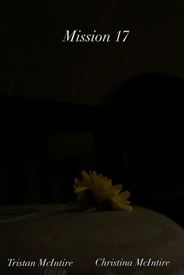 Mission 17