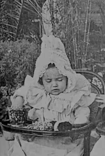 Two Toddlers in High Chairs Poster