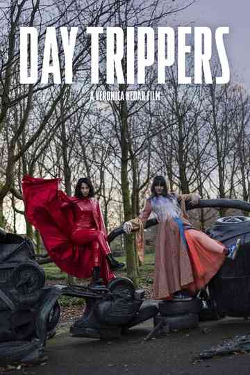Day Trippers Poster