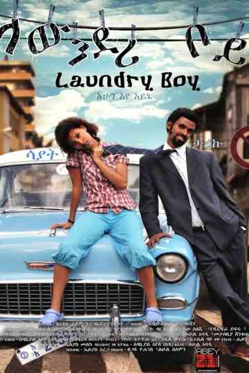 Laundry Boy Poster