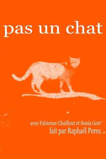 Pas un chat Poster